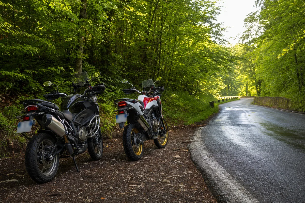Deux motos trail de grande cylindrée sur une route sinueuse bordée de forêt